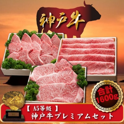 【A5等級】 神戸牛 プレミアムセット　合計1600g　SOLS10【配送不可地域：離島】