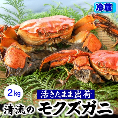 天然　活モクズガニ　約2kg　兵庫県新温泉町　【配送不可地域：離島・北海道・沖縄県・東北・九州】