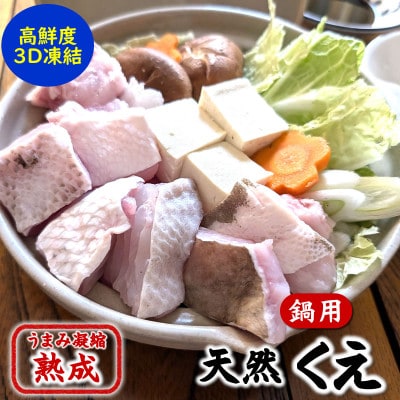 幻の高級魚 天然本クエ鍋用 800g(4人前)熟成 旨味凝縮 高鮮度3D凍結 大型使用【配送不可地域：離島】