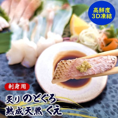 高級魚「天然クエ熟成」「炙りノドグロ」お刺身用 旨味凝縮 高鮮度3D凍結 個包装【配送不可地域：離島】