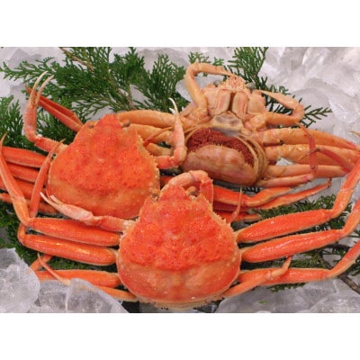 浜坂産釜茹で子持ちセコかに　小サイズ×5枚(かに酢付)【配送不可地域：離島】