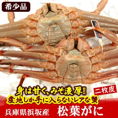 限定品 希少な松葉がに ボイル 2枚 産地しか手に入らない脱皮直前のレアな「二枚皮松葉がに」ソフト蟹【配送不可地域：離島】