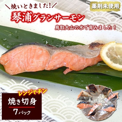 国産とっとり琴浦グランサーモン焼いときました 焼魚7切 塩焼き 不揃いのため訳あり 個包装 レンチン【配送不可地域：離島】
