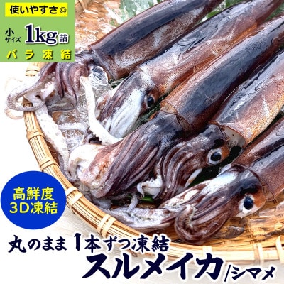スルメイカ冷凍 1kg 小さいサイズ 訳あり 家庭用【配送不可地域：離島】