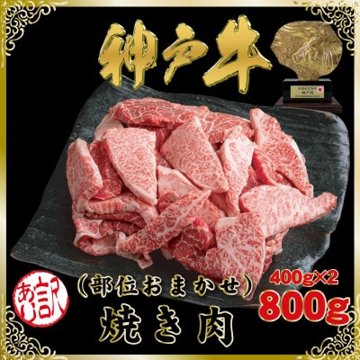 訳あり 神戸牛 部位おまかせ焼き肉用 計800g SOY1-2 【2026年4月より順次発送】【配送不可地域：離島】