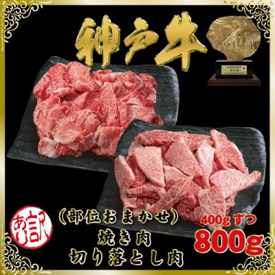 訳あり 神戸牛 切り落とし肉＆焼肉用(部位おまかせ)計800g SOSY2【2026年4月より発送】【配送不可地域：離島】