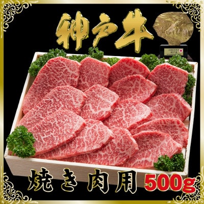 神戸牛(神戸ビーフ)焼き肉用 500g SOY2 【2026年4月より順次発送】【配送不可地域：離島】