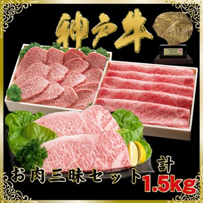 神戸牛(神戸ビーフ)お肉三昧セット 計1.5kg SOLS10【配送不可地域：離島】