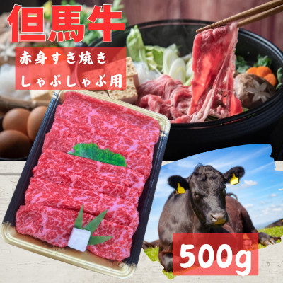 但馬牛　赤身スライス　500g【配送不可地域：離島】