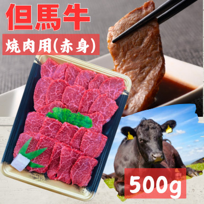 但馬牛　焼き肉用(赤身　500g)【配送不可地域：離島】