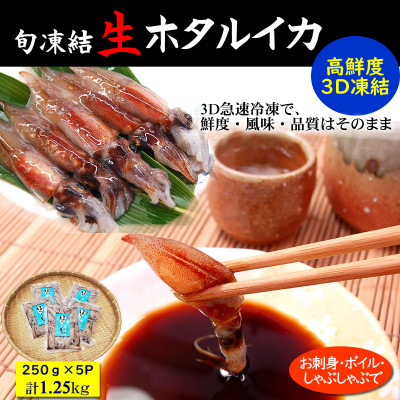 旬凍結ホタルイカ　小分け約250g×5パック【3D凍結】兵庫県浜坂産　生食可　お刺身　しゃぶしゃぶに【配送不可地域：離島】