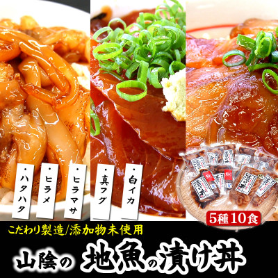 【兵庫県新温泉町】魚屋自家製「山陰の海鮮漬け丼10食」セット　天然魚使用　添加物未使用　海鮮丼【配送不可地域：離島】