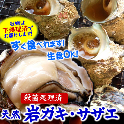 山陰の岩ガキ・サザエ詰合(大きさにより各6～10個)牡蠣は殺菌済　下処理済　生食OK　さざえ砂抜き済【配送不可地域：離島・北海道・沖縄県・東北・関東・九州】