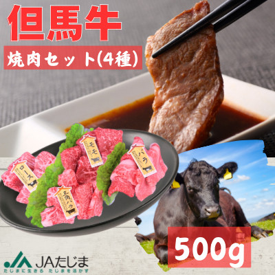 但馬牛　焼肉セット【500g】【配送不可地域：離島】