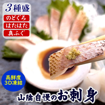 山陰のお刺身魚3点詰合せ(ノドグロ、ハタハタ、フグの3種)高級魚　赤睦　ふぐたたき　とろはたはた　【配送不可地域：離島】