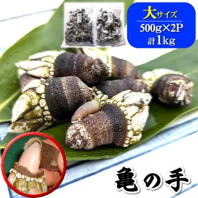 亀の手　大サイズ　500g×2袋　計1kg　兵庫県新温泉町　【配送不可地域：離島】