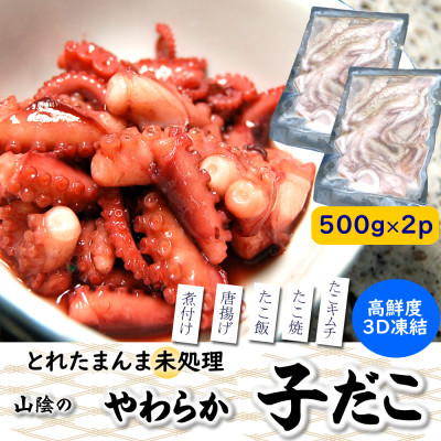 とれたまんまを急速冷凍　やわらか子ダコ(冷凍)500g×2袋 1kg 国産小だこ生 真空パック【配送不可地域：離島】