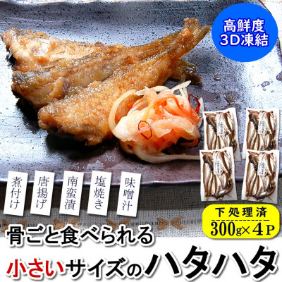 小さいサイズのハタハタ　計1.2kg(300g×4パック)下処理済 小分け 煮付け 塩焼き 唐揚げ　【配送不可地域：離島】