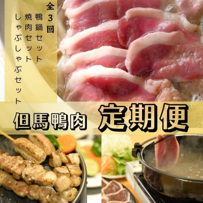 【毎月定期便】但馬鴨お楽しみコース5～6人前(鴨鍋　焼肉　しゃぶしゃぶ)全3回【配送不可地域：離島】