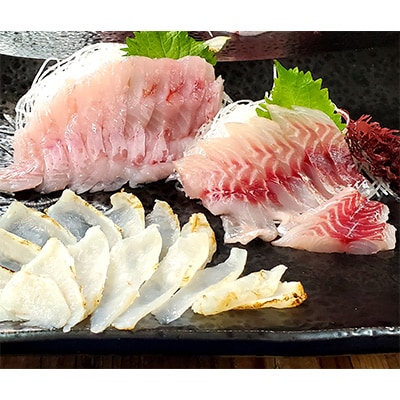 2023年7月発送開始『定期便』山陰の地魚お刺身セット　全3回【配送不可地域：離島】