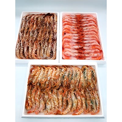 2023年6月発送開始『定期便』山陰の地エビ食べ比べコース　全3回【配送不可地域：離島】