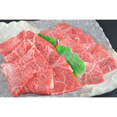 【但馬牛専門店】がお届けする!但馬牛　食べ比べセット(焼肉用)1kg【配送不可地域：離島】