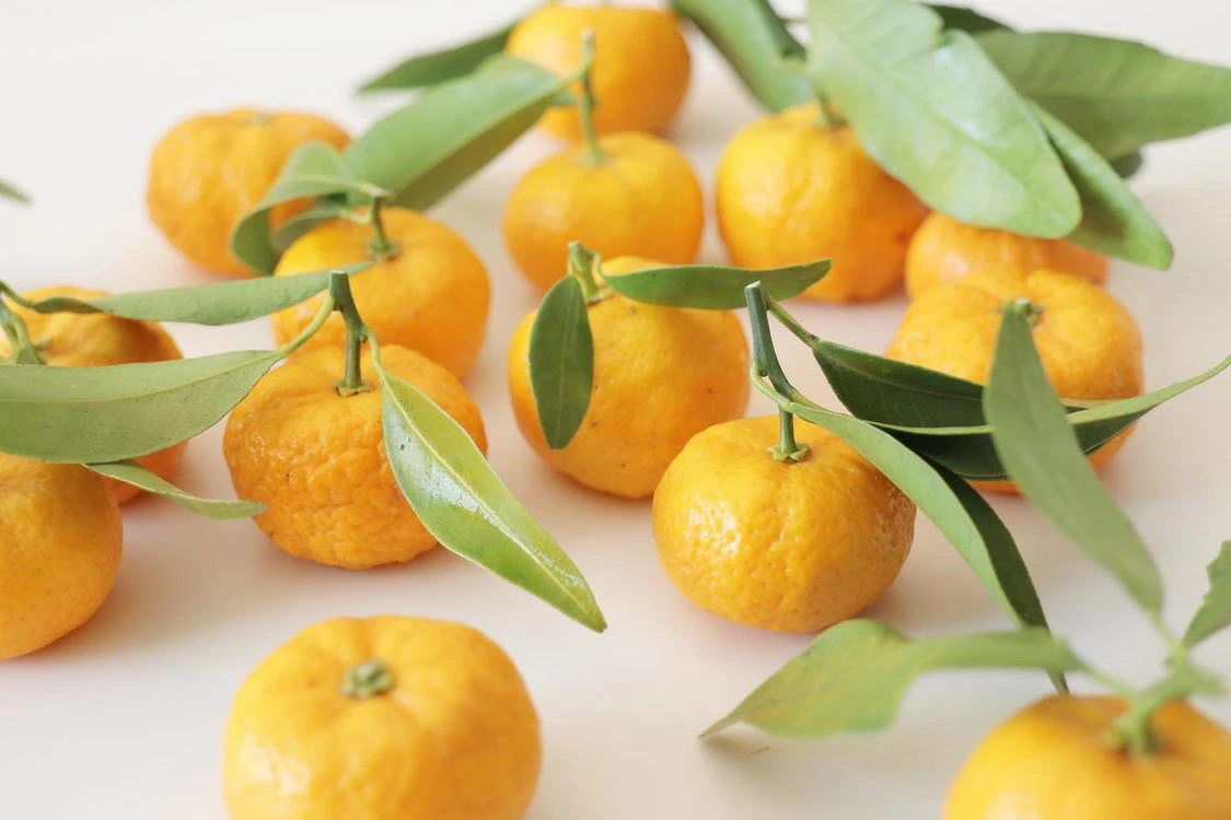 【予約販売】2月以降発送 古都華コンフィチュール×大和橘コンフィチュール Pain Perdu 奈良市なら 10-027