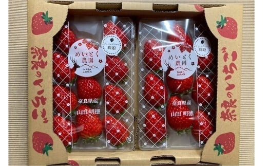 【数量限定】2026年予約販売開始  珠姫（たまひめ）×4パック 先行予約 早期終了予定あり いちご 苺 イチゴ ブランド 旬 産地 直送 フレッシュ 新鮮 いちご農家 めいとく農園 奈良県 奈良市 奈良 なら 12-060