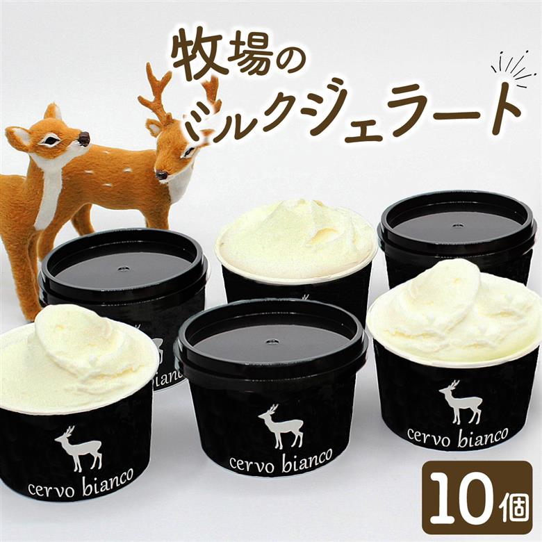 I-168 奈良の大人気店cervo biancoのジェラート 10個セット