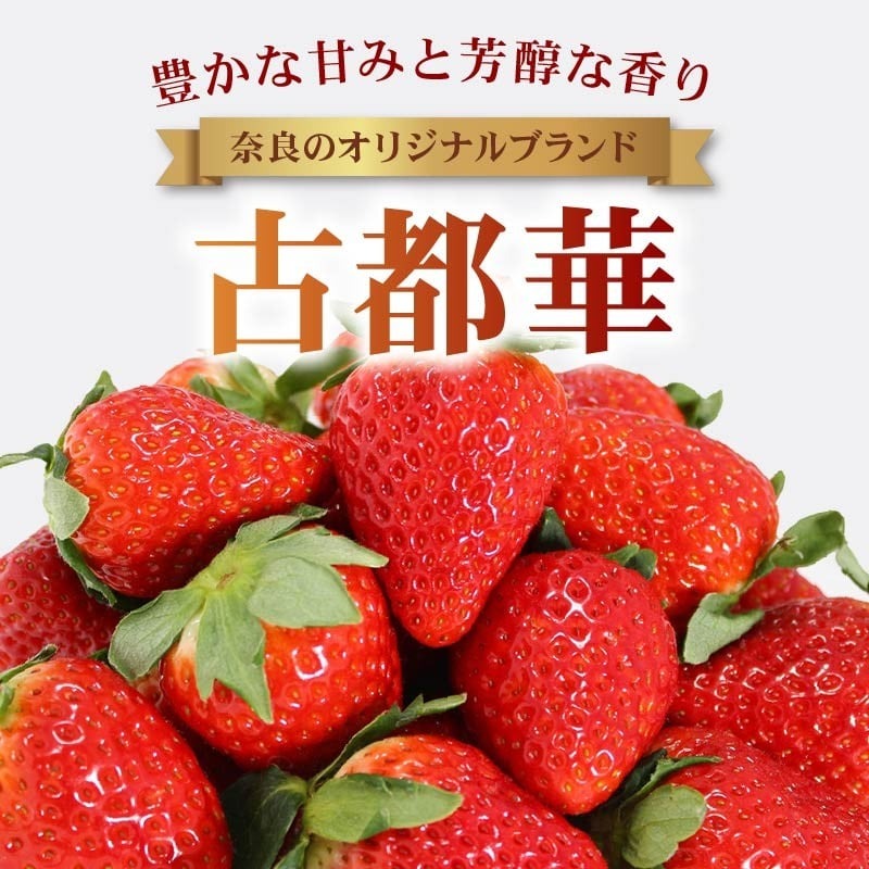 いちご 古都華 2026年 発送（270g×2パック） 家庭用 予約受付中 数量限定 いちご イチゴ 先行予約 いちご 苺 奈良ブランド苺 イチゴ ブランド 古都華 大粒 苺 旬 産地 直送 フレッシュ 新鮮  フルーツ 果物 くだもの  萩原いちご農園 奈良県 奈良市 hgi03