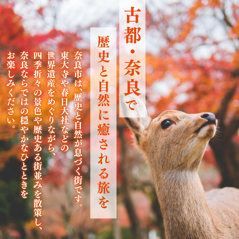 HIS 宿泊 ふるさと納税宿泊予約専用クーポン 奈良市 90,000円分 クーポン 予約 プレゼント 人気 観光地 観光 ホテル 旅館 おすすめ 観る 遊ぶ 食べる 泊まる 温泉 ビジネス 出張 家族旅行 一人旅 グループ旅行 ギフト 贈り物 利用券 体験 国内旅行 奈良県