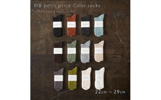 12-083 HARUSAKU [ CC ] ハルサク リブカラー ソックス 靴下 10P set 22cm～24cm 22cm～24cm