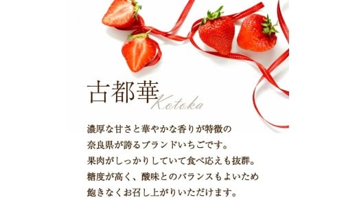 いちご 古都華 500g 250g×2パック Lサイズ以上 250g 2026年 1月発送 小分け パック フルーツ 果物 スイーツ 甘い いちご 苺 イチゴ お取り寄せ 大粒 朝採り フルーツ 果物 国産 冷蔵配送 送料無料 高級 家庭用 ケーキ お菓子 使用 500g 6000円 奈良県 奈良市 500g (250g×2)