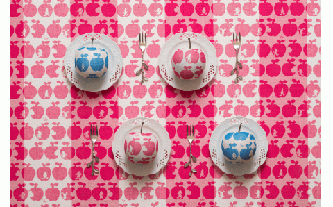 9-021 白雪ふきん 白雪友禅湯上りたおる（白雪姫／ポムレッド）