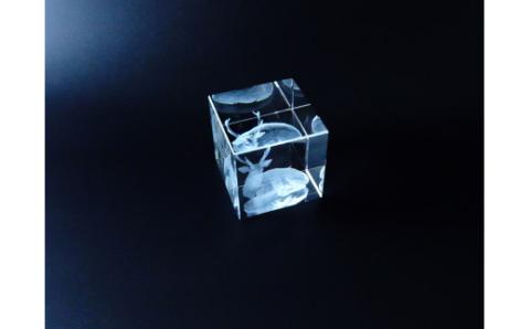 F-74 3D レーザー加工のクリスタルガラス1個 有限会社高山商会 奈良市