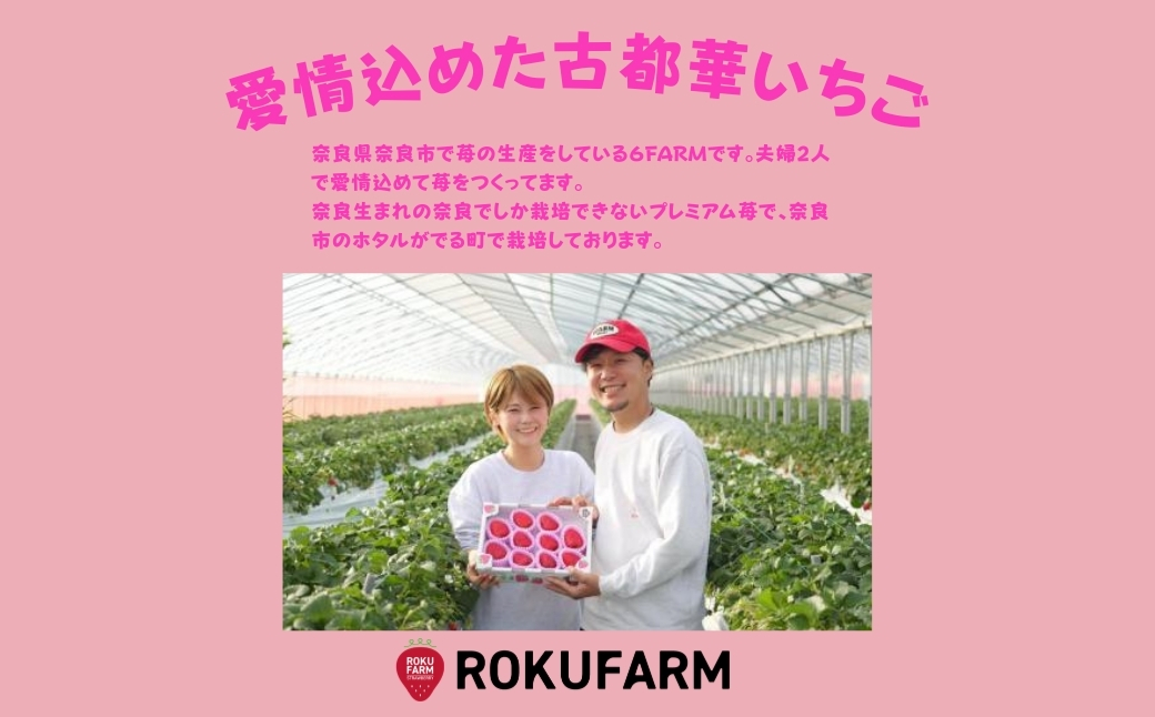 ★★2026年予約販売開始★★【2026年（令和8年）1月～発送】  「6FARMの 古都華いちご」 限定出荷 〈6FARM〉 いちご 苺 奈良ブランド苺 イチゴ ブランド 古都華 大粒 奈良県 奈良市 なら 10-205