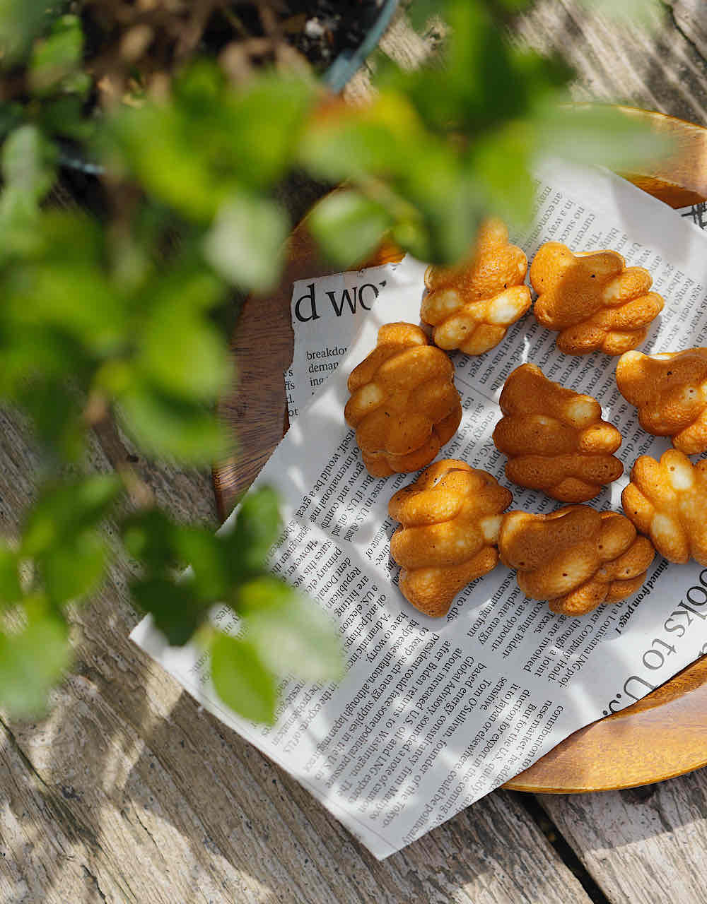 米粉で作られたヴィーガンの一口カステラ15個入り×2袋セット 奈良県 奈良市 なら 11-082