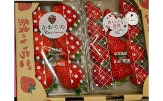 【数量限定】2026年予約販売開始 奈良ブランドいちご２種 食べ比べセット×２セット（古都華２パック＋別品種２パックの計４パック） (他１種は、かおりの・珠姫・奈乃華・ならあかり・あすかルビーのいずれか) イチゴ いちご 苺 めいとく農園 奈良県 奈良市 奈良 14-034
