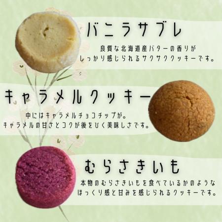 いろいろクッキー(クッキー７種類入り)12袋セット シフォンのお店PUKKU 奈良県 奈良市 なら 16-004