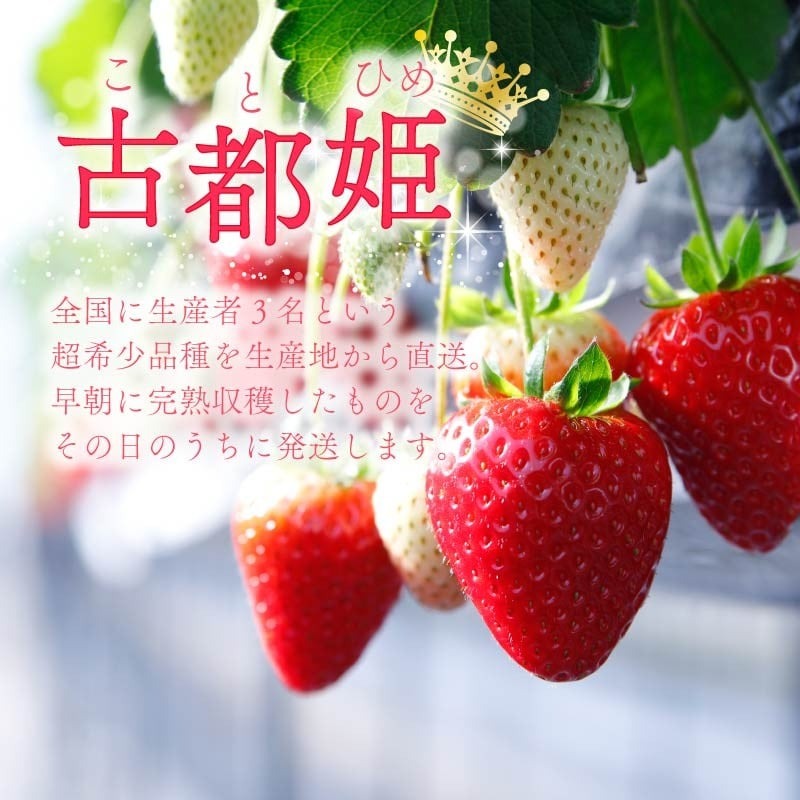 いちご 古都姫 約350g 化粧箱入り 超希少品種 2026年2月発送 冷蔵 小分け 果物 スイーツ デザート フルーツ ベリー ふるさと納税いちご 大粒 採れたて 完熟 おやつ 産地直送 先行予約 数量限定 季節限定 ブランド 苺 イチゴ いちご 希少 お取り寄せ 贈答用 化粧箱 大粒 岩井農園 奈良県 奈良市 20-057