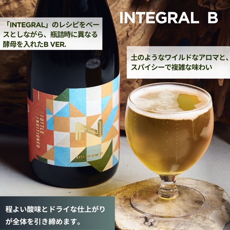 クラフトビール GIFT BOX ( 750ml 瓶ビール 2本 セット ) ビール セゾンスタイル セゾン ブレタノマイセス フルーティ スパイシー 酵母 麦芽 ドイツ 産 ベルギー 瓶内 二次発酵 熟成 贈答用 贈答 奈良醸造 株式会社 25-036