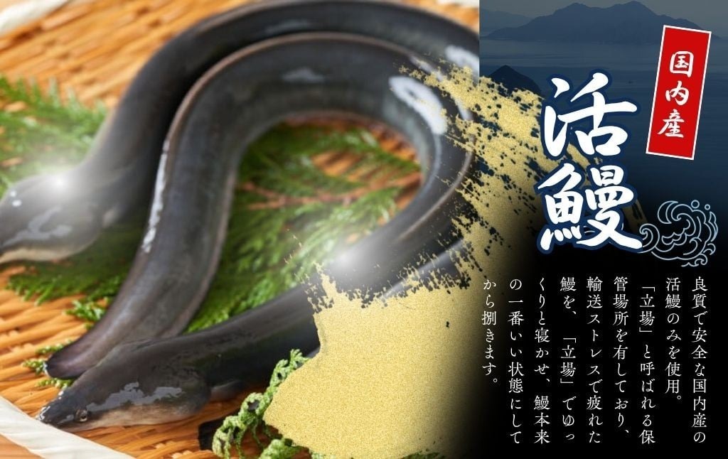 国産 うなぎの蒲焼 【3尾】 たれ付き 鰻 うなぎ 丑の日 魚 魚介 海鮮 肉厚 ジューシー かば焼き 蒲焼き うな重 ひつまぶし うな丼 どんぶり ごはん お米 年末年始 お取り寄せ ギフト プレゼント 贈り物 ご褒美 うなぎ川はら 奈良県 奈良市 なら 31-011