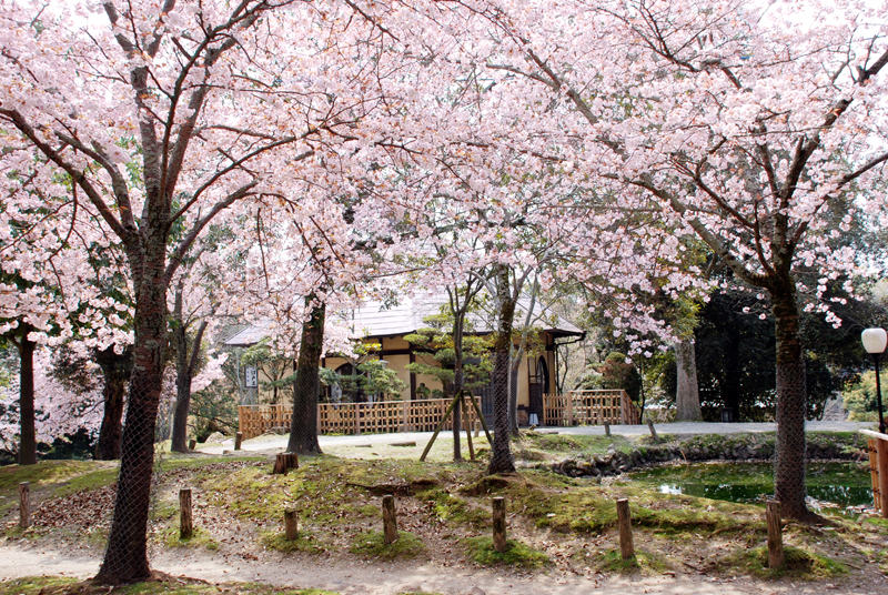 江戸三　1泊2食付宿泊券（2名様1室） C-37