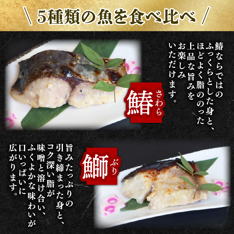 H-39【ご飯によく合う】西京漬 5種（鰆・鰤・銀鱈・銀鮭・鯛）×2