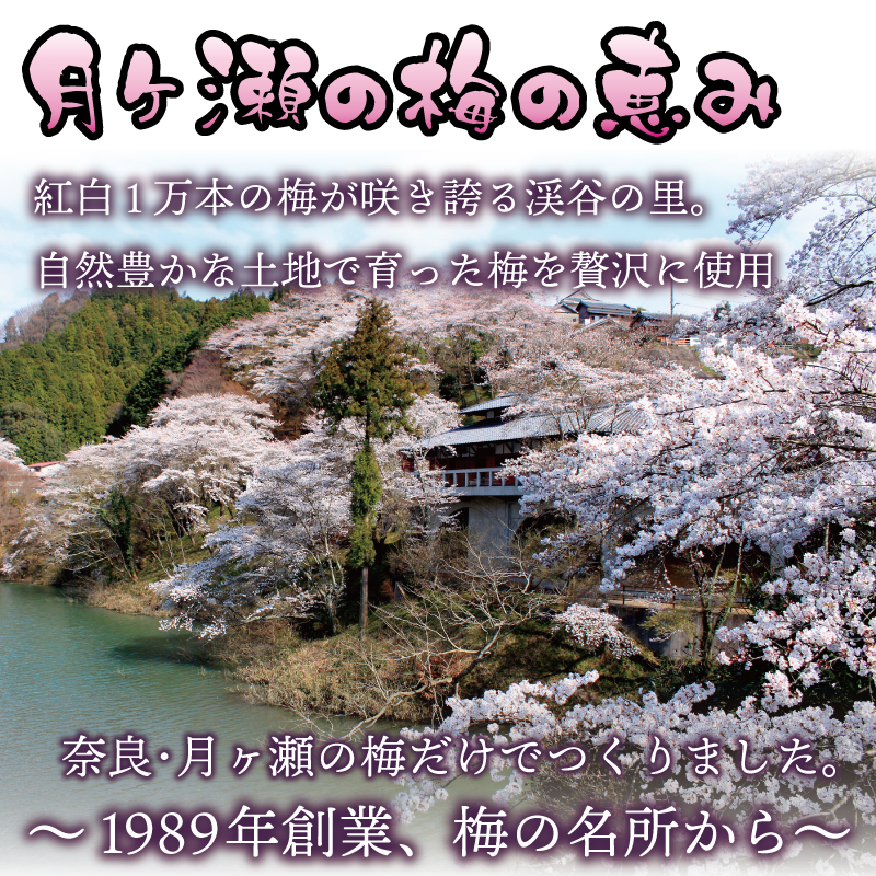 H-91 月ヶ瀬梅渓名産　　梅エキス　二本セット