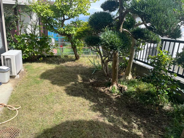 まごころサポート3000円分クーポン券 まごころサポート 奈良KAEDE店 I-300