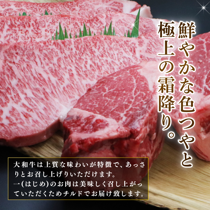 T-40 大和牛サーロイン300g×3枚・大和牛ヘレ300g×2枚