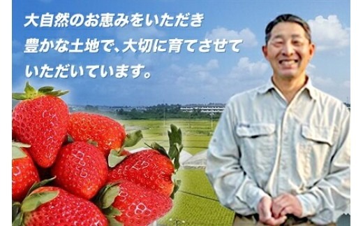 【 数量限定】 奈良のブランドいちご 古都華 約1000g 250g×4パック 1パック15~21粒 イチゴ 月 旬 産地 農場 直送 フレッシュ スイーツ スムージー ケーキ フルーツ 果物 国産 ベリー 贈答用 プレゼント 人気 ふるさと納税 ふるさと おすすめ 限定 奈良県 奈良市 なら ファーム和だや