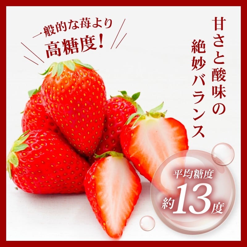 いちご 古都華 2026年 発送（270g×2パック） 家庭用 予約受付中 数量限定 いちご イチゴ 先行予約 いちご 苺 奈良ブランド苺 イチゴ ブランド 古都華 大粒 苺 旬 産地 直送 フレッシュ 新鮮  フルーツ 果物 くだもの  萩原いちご農園 奈良県 奈良市 hgi03