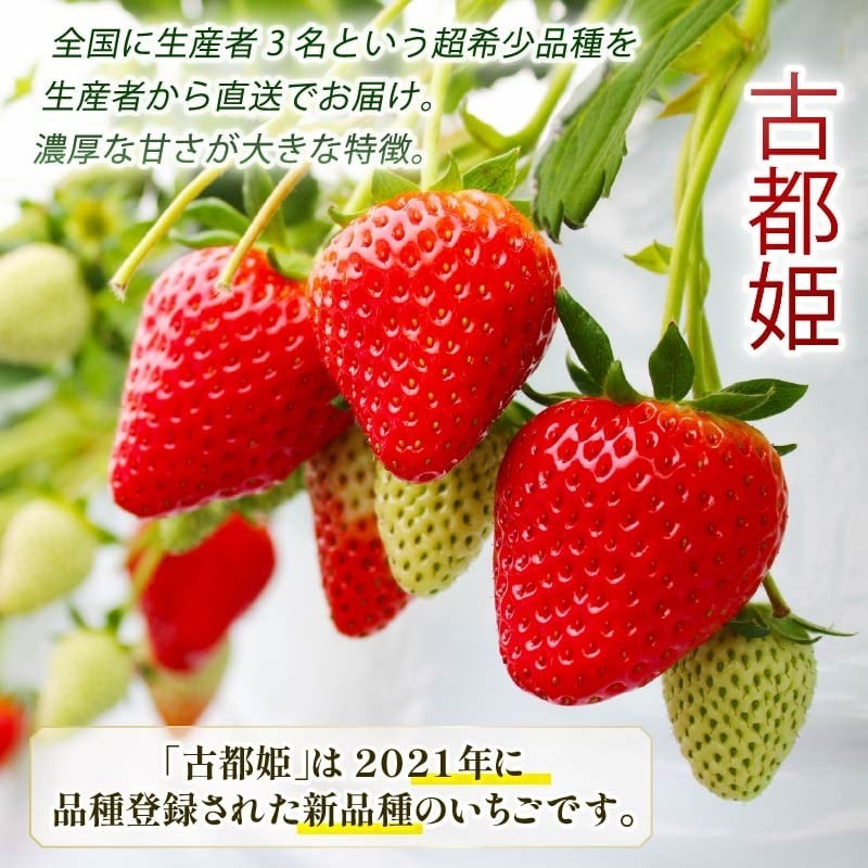 【数量限定】 2026年発送 苺 いちご 古都姫 350g 化粧箱 冷蔵 小分け 果物 スイーツ デザート くだもの フルーツ ベリー ふるさと納税 いちご 大粒 採れたて 完熟 おやつ 産地直送 先行予約 数量限定 季節限定 ブランド イチゴ ギフト お祝い 中村農園 奈良県 奈良市 inn02